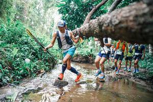 BIB: 
                            <button type="button" onclick="openModal(25372793)" class="btn btn-primary btn-sm float-right btn-popup" data-toggle="modal" data-target=".modal-high-quality">
                        <i class="fas fa-shopping-cart"></i> Add to Cart
                    </button>
                                            <button type="button" onclick="isThisMe(25372793, true)" class="btn btn-success btn-sm float-right btn-popup btn-isme hidden" data-toggle="tooltip" data-placement="bottom" title="นี่คือรูปของคุณใช่ไหม คลิกที่นี่เพื่อเอาเข้าอัลบั้ม">
                        <i class="fas fa-plus"></i> Add to album
                    </button>
                    <button type="button" onclick="isThisMe(25372793, false)" class="btn btn-warning btn-sm float-right btn-popup btn-isnotme hidden">
                        <i class="fas fa-ban"></i> Remove from album
                    </button>